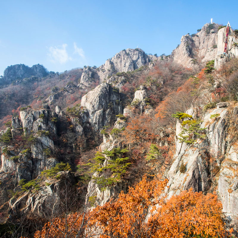 완주