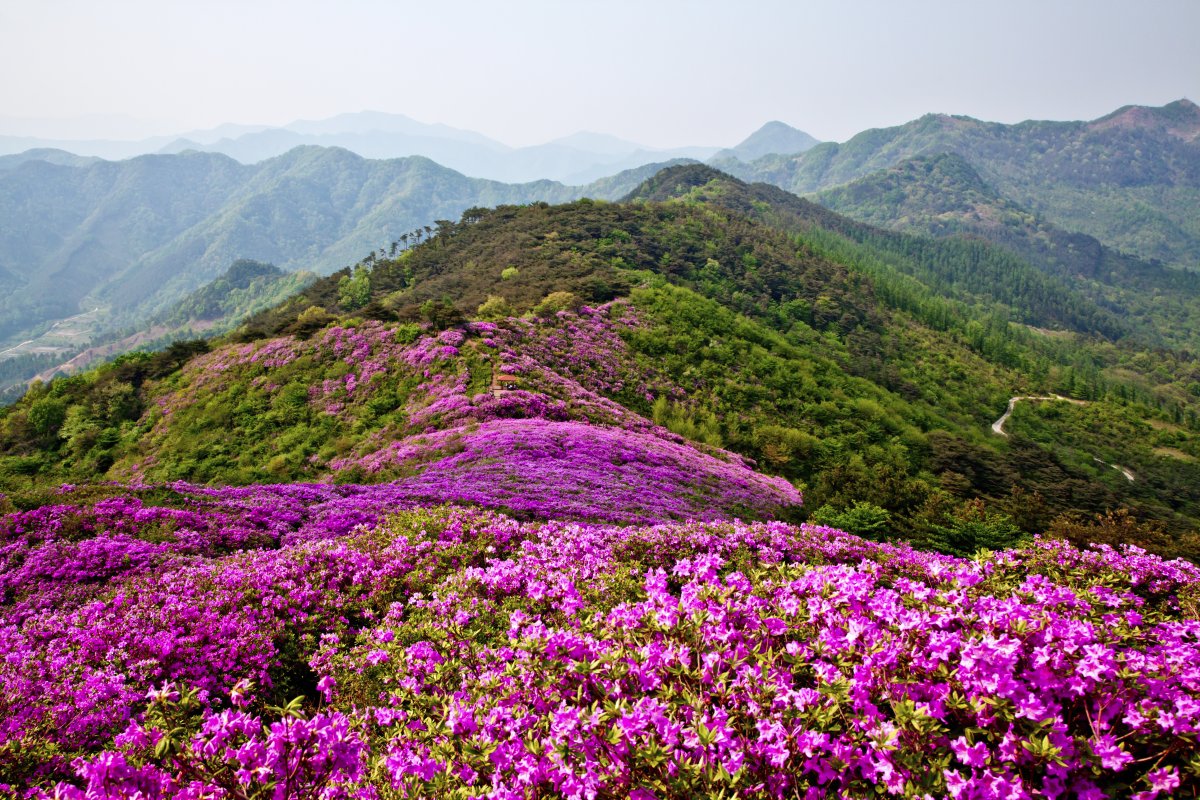 장수의 숨은 매력을 찾는 가장 빠른 길