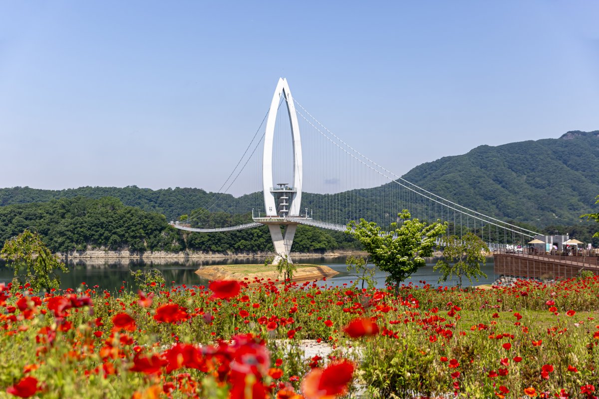임실의 숨은 매력을 찾는 가장 빠른 길
