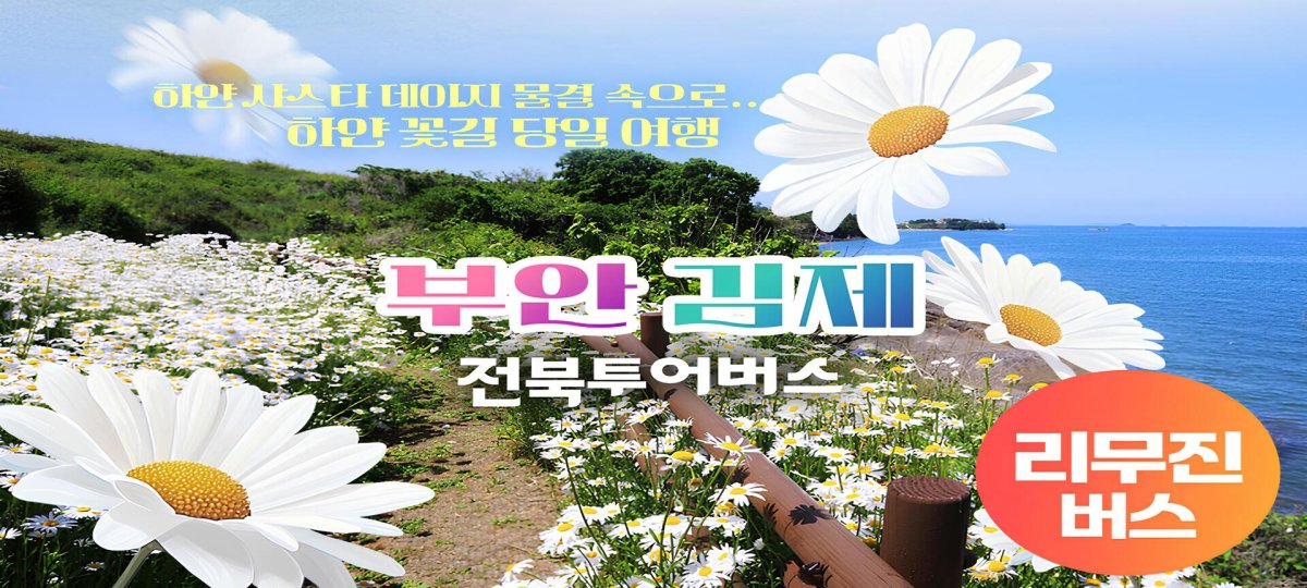 [서울/경기출발] 부안 샤스타데이지 마실길+내소사+김제 벽골제(리무진)