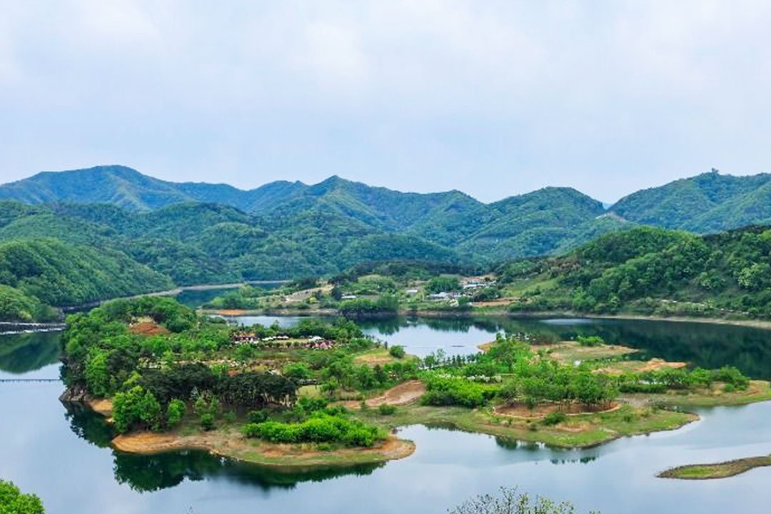 [서울/경기출발] 임실 옥정호 출렁다리 작약꽃밭+ 전주 한옥마을+전주수목원 꽃놀이