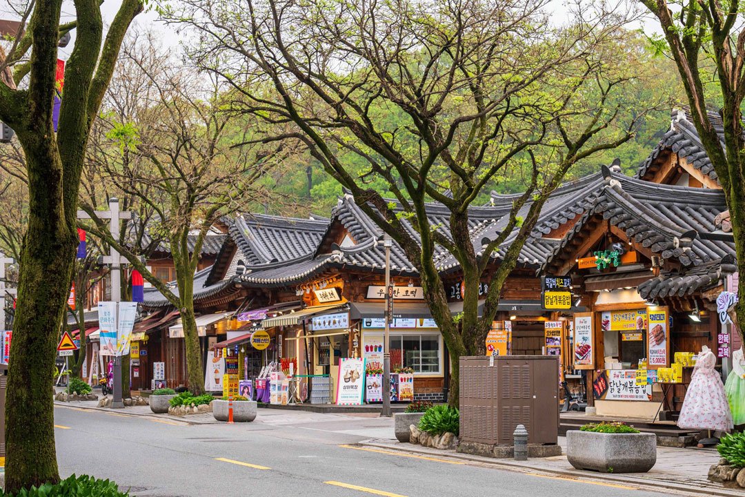 [서울/경기출발] 임실 옥정호 출렁다리 작약꽃밭+ 전주 한옥마을+전주수목원 꽃놀이