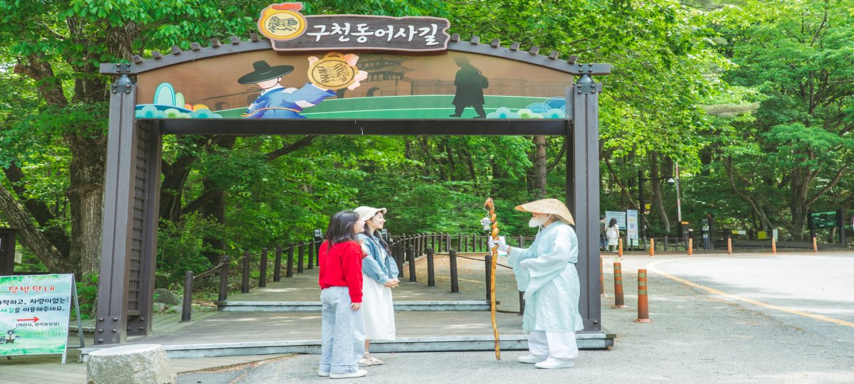 [서울/경기출발] 시원한 무주구천동 계곡물놀이_구천동계곡+완주삼례문화예술촌+무주창고카페