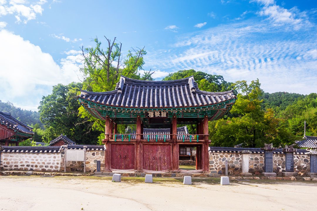 [서울/경기출발] 고창농원라벤더+선유도+선운사+람사르생태공원_군산정읍고창 1박2일(리무진)