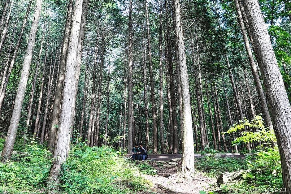 [전주출발]전북투어버스☆전주&진안☆ (당일)