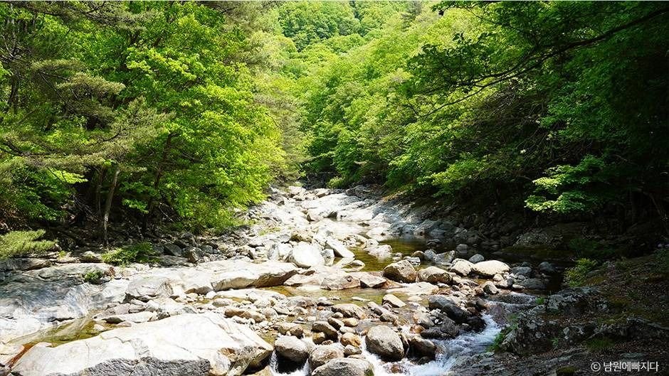 [전주출발]전북투어버스☆남원&임실☆ (당일)