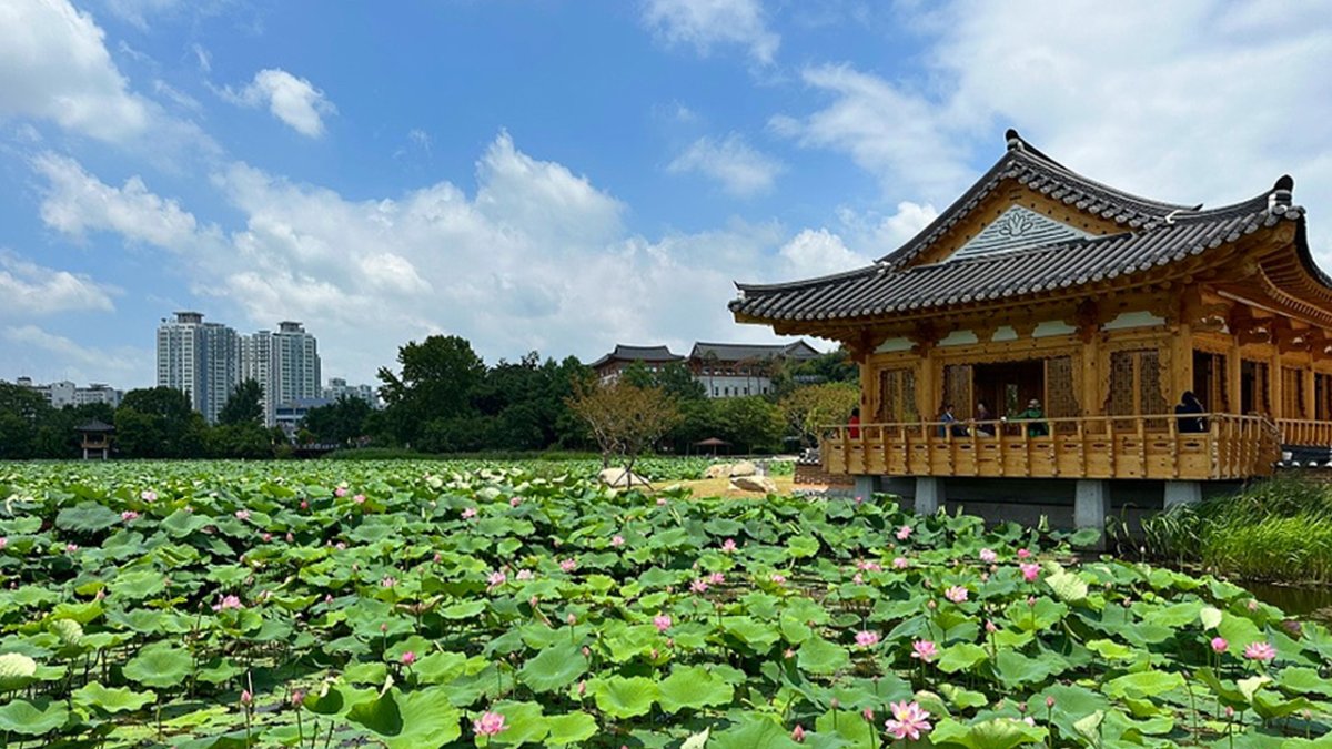 [1박2일] #올해는 #전라북도 어때요? 전북관광투어버스 (#여름전주)