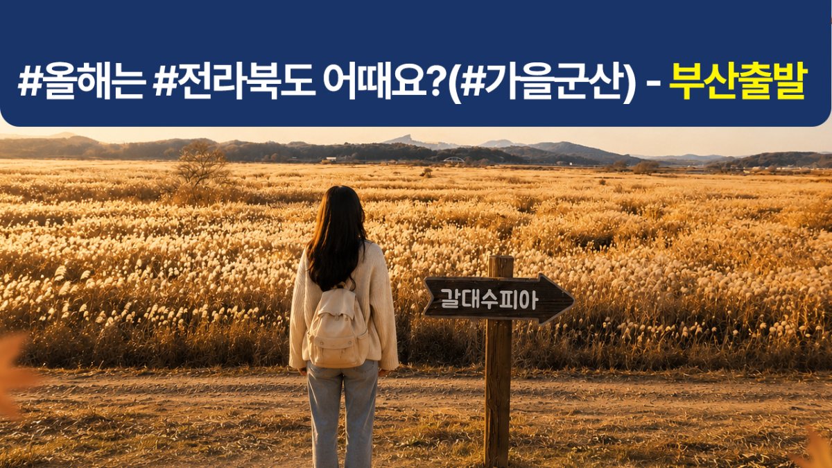 [1박2일] #올해는 #전라북도 어때요? 전북관광투어버스 (#가을군산)