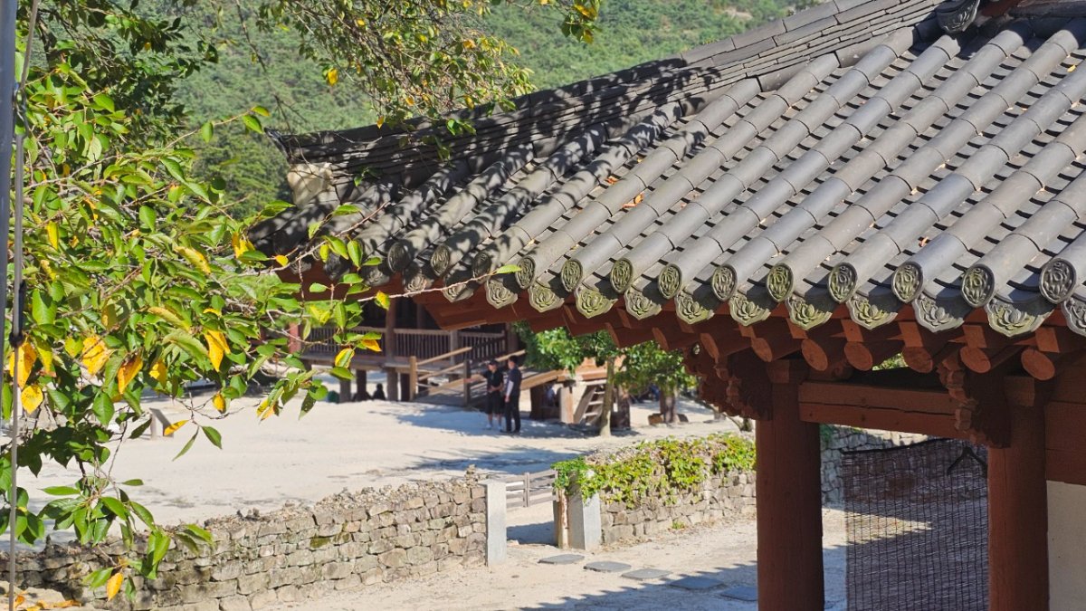 [부산출발/1박2일] 전북관광투어버스 (#전북순환)