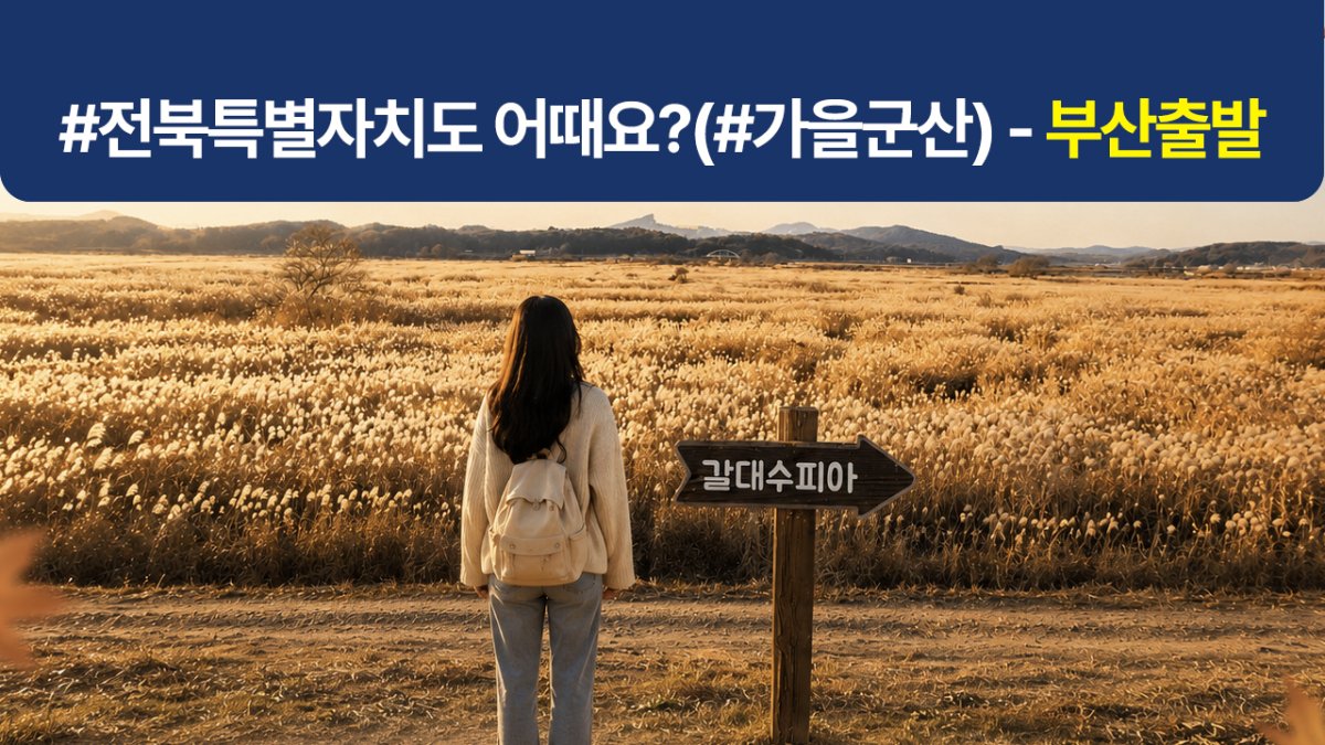 [부산출발/1박2일] 전북관광투어버스 (#가을군산)