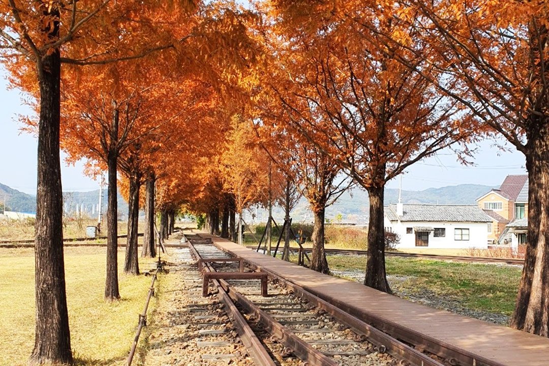 [서울/경기출발] 장수사과축제와 남원가을여행_장수 한우랑사과랑+남원 지리산허브밸리