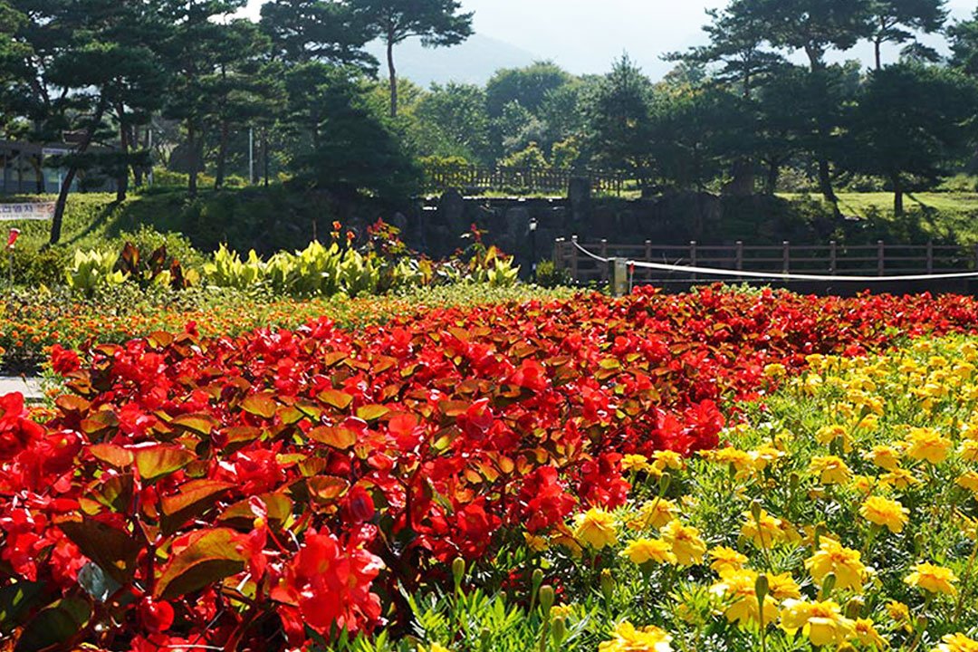 [서울/경기출발] 장수사과축제와 남원가을여행_장수 한우랑사과랑+남원 지리산허브밸리