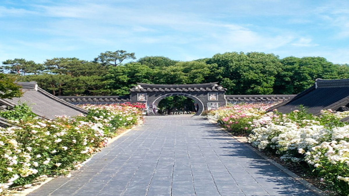 [서울/경기출발] 김제 지평선 축제+전주수목원+한옥마을_김제+전주