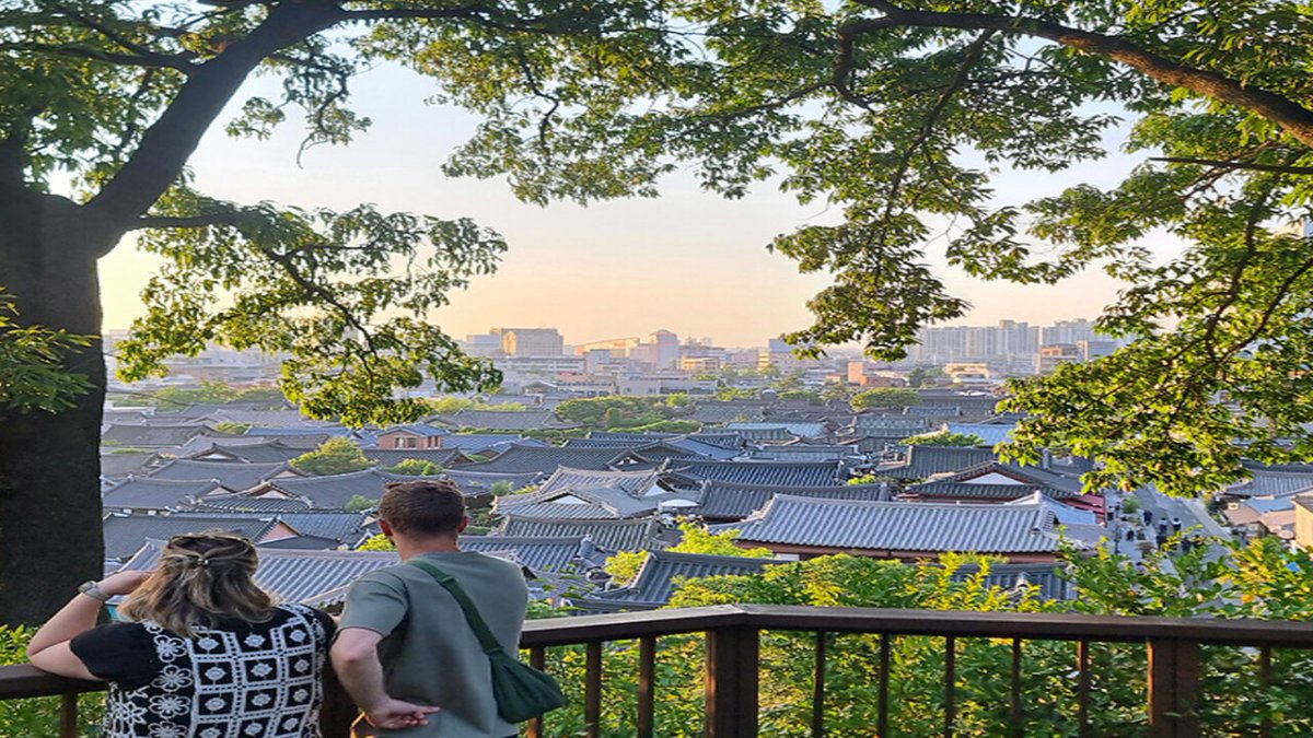 [서울/경기출발] 김제 지평선 축제+전주수목원+한옥마을_김제+전주