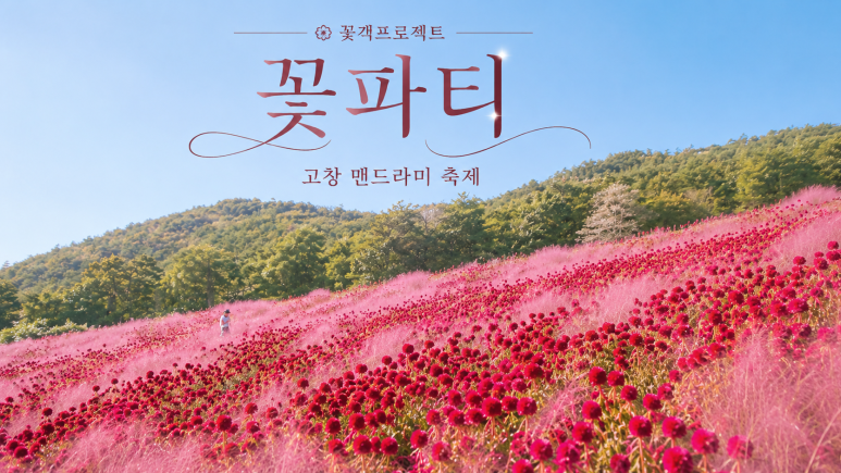 전북투어버스5탄[부안+고창]