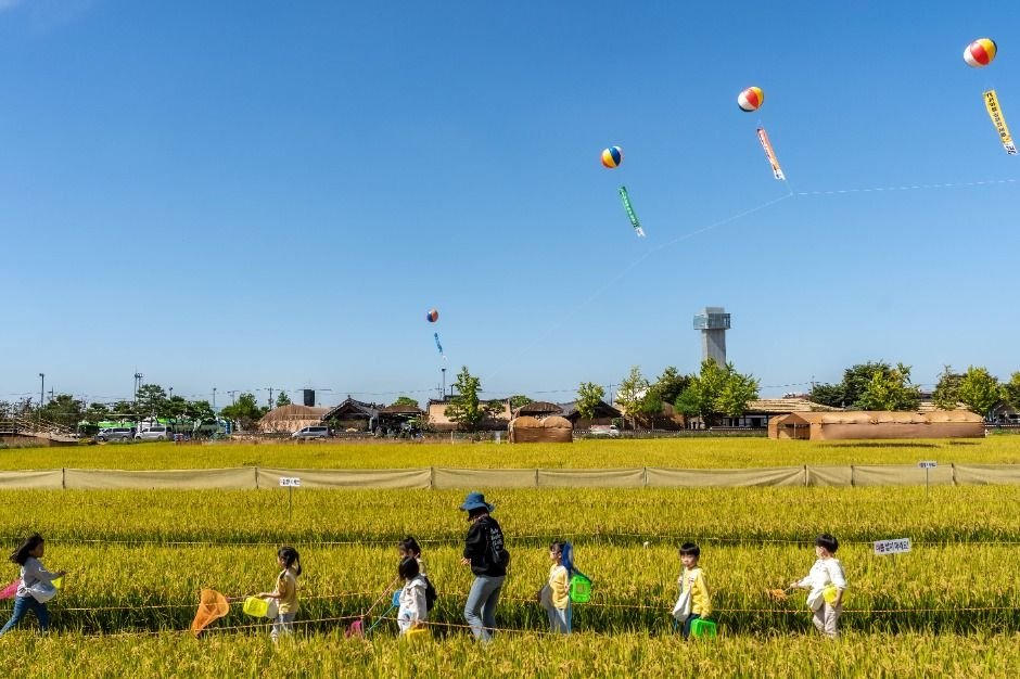 [전주출발]김제"지평선축제"&부안☆드넓은 들판과 하늘이 맞닿는 순간 (당일/리무진)